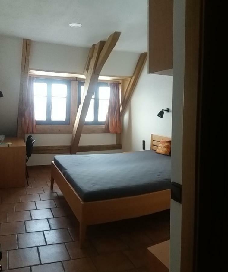 Penzion Hurky Nová Bystřice Εξωτερικό φωτογραφία